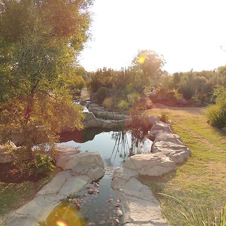 Strawberry Fields Country Manor Guest House Johannesburg Exterior photo